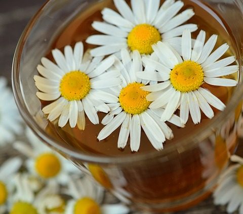 chamomile tea